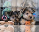 Small #164 Breeder Profile image