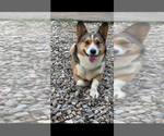 Small #5 Breeder Profile image