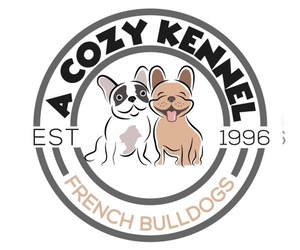 French Bulldog Dog Breeder in TRACYS LANDING,  USA