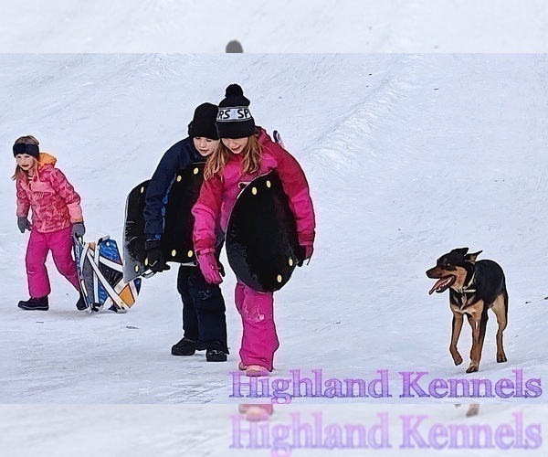 Medium Photo #13  Breeder Profile in CAMAS, WA, USA