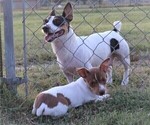 Small #9 Breeder Profile image