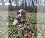 Small Photo #1  Breeder Profile in YADKINVILLE, NC, USA