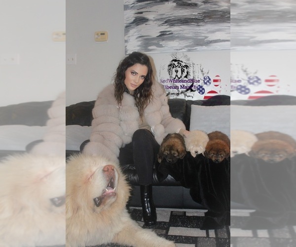 Medium Photo #8  Breeder Profile in BALDWIN, KS, USA