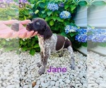 Small #2 Breeder Profile image