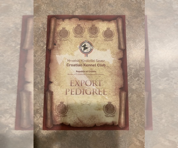 Medium Photo #7  Breeder Profile in AKELEY, MN, USA