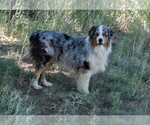 Small #9 Breeder Profile image