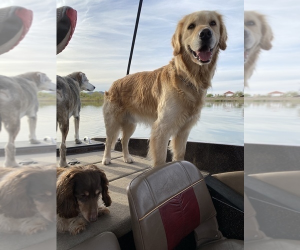 Medium Photo #12  Breeder Profile in PEYTON, CO, USA