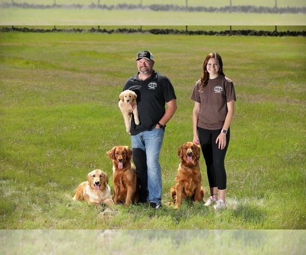 Medium Photo #1  Breeder Profile in CHICO, CA, USA