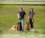 Small breeder photo