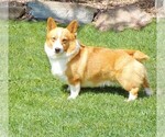 Small #6 Breeder Profile image