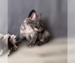 Small #12 Breeder Profile image
