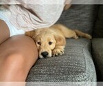 Small #26 Breeder Profile image
