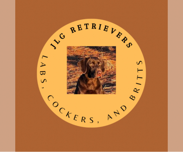 Medium Photo #1  Breeder Profile in MOULTRIE, GA, USA