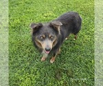 Small #1 Breeder Profile image