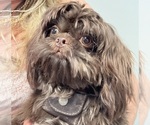 Small #3 Breeder Profile image