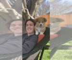 Small #14 Breeder Profile image