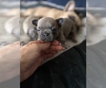 Small #14 Breeder Profile image