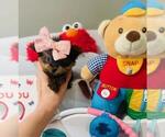 Small Photo #7  Breeder Profile in PEMBROKE PINES, FL, USA