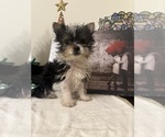 Small #3 Breeder Profile image