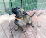 Small #7 Breeder Profile image