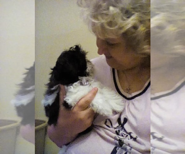 Medium Photo #1  Breeder Profile in CONWAY, SC, USA