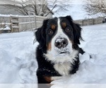 Small #14 Breeder Profile image