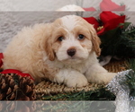 Small #13 Breeder Profile image