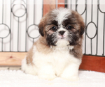 Small #4 Breeder Profile image