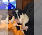 Small #7 Breeder Profile image