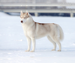 Small #8 Breeder Profile image
