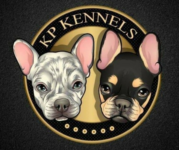 Medium Photo #1  Breeder Profile in SAN DIEGO, CA, USA