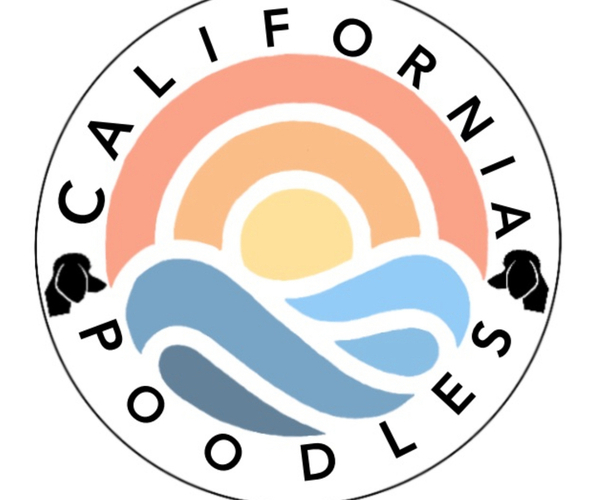 Medium Photo #1  Breeder Profile in LOS GATOS, CA, USA