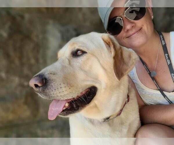 Medium Photo #1  Breeder Profile in BLACK HAWK, SD, USA