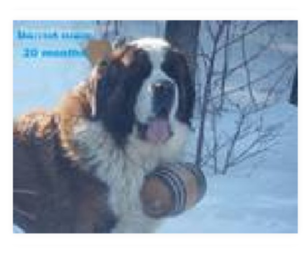 Medium Photo #1  Breeder Profile in DELTA JUNCTION, AK, USA