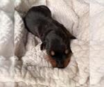 Small #3 Breeder Profile image