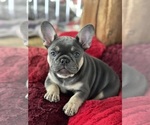 Small #17 Breeder Profile image