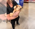 Small #27 Breeder Profile image