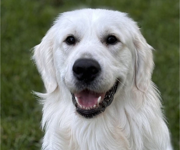 Medium Photo #6  Breeder Profile in SPOTSYLVANIA, VA, USA