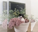 Small #8 Breeder Profile image