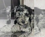 Small #18 Breeder Profile image