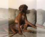 Small #62 Breeder Profile image