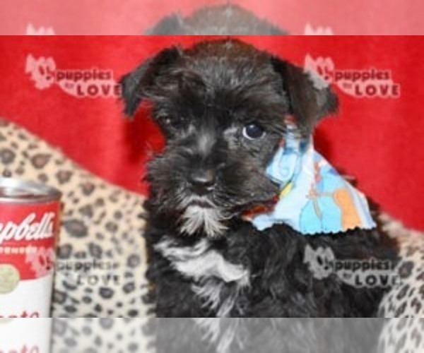 Medium Photo #3  Breeder Profile in SANGER, TX, USA