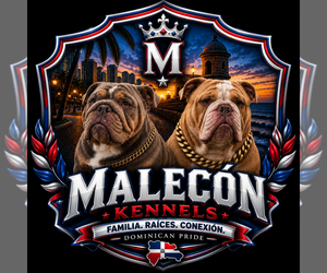 Medium Breeder Profile Photo
