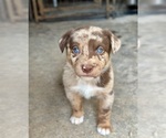 Small #24 Breeder Profile image