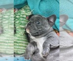 Small #3 Breeder Profile image