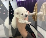 Small #7 Breeder Profile image