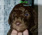 Small #4 Breeder Profile image