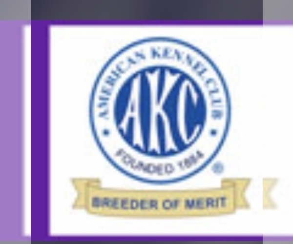 Medium Photo #15  Breeder Profile in FRANKFORT, IL, USA