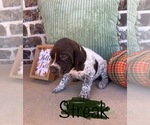 Small #3 Breeder Profile image