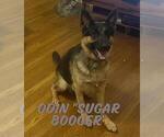 Small #19 Breeder Profile image
